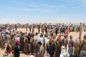 بلاغ عاجل من الجوف: اتهامات لعصابة 