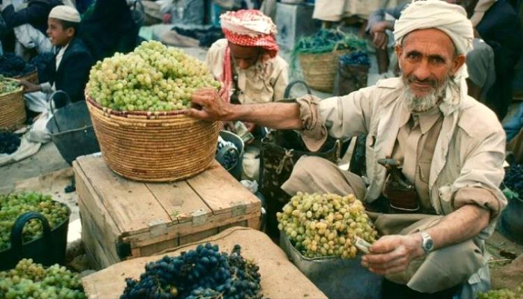 عنب اليمن.. «جواهر عابرة» تتحدى حـ,ـرب الحـ,ـوثي
