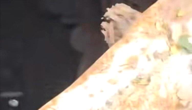 بعد يومين من الاختفاء .. العثور على جثـ,ـتي طفلين شقيقين داخل بئر مكشوفة في هذه المحافظة!