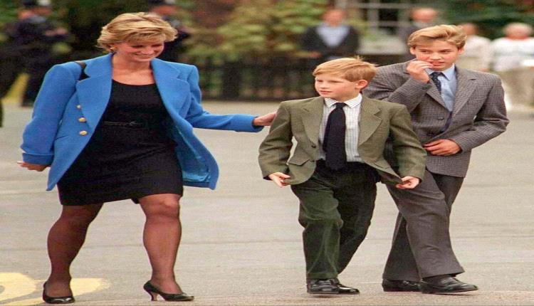 الأميرة ديانا ترى في الأمير هاري خياراً ملكياً بدلاً من ويليام