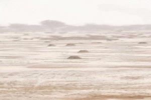 أمطار غزيرة وسيول جارفة تجتاح محافظة شبوة