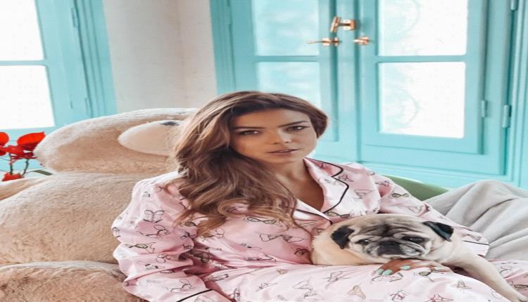 بالصور.. ناهد السباعي تودع كلبها برسالة مؤثرة: «كنت عائلة وحباً وبيتاً»