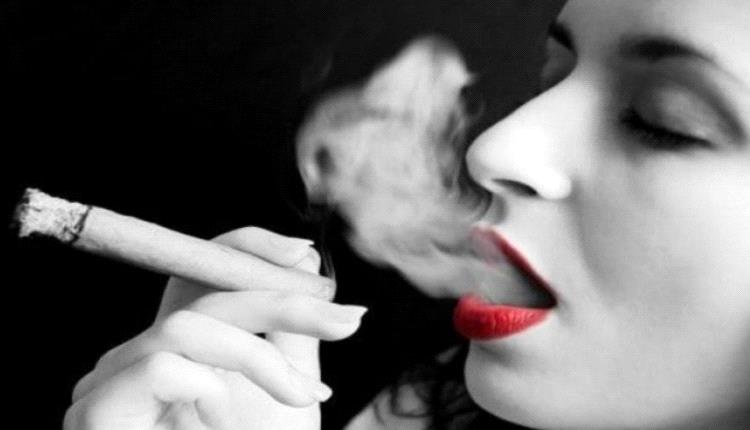 لا تطبيع مع المخدرات.. مصر تتخذ إجراءات قانونية ضد من يروّج إعلامياً لـ «أمان الحشيش»