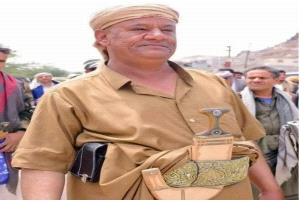 الدوشان في اليمن: تاريخ صوت القبيلة اليمنية.. بين عنصرية الحوثي وعنصرية التصنيف القبلي
