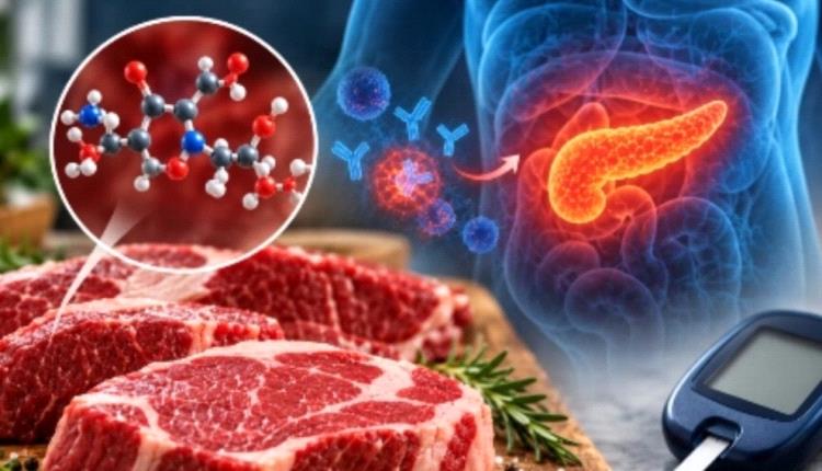 دراسة فرنسية تكشف ارتباط اللحوم الحمراء بالسكري