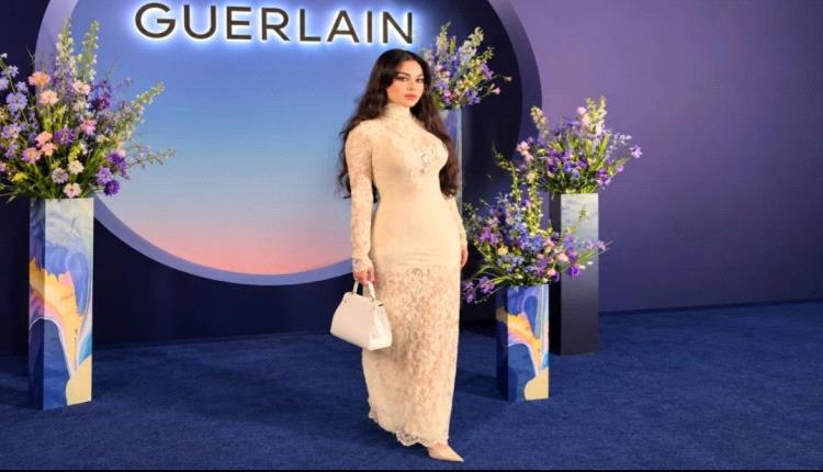 هيفاء وهبي ترد بعد جدل تجاهلها للفنانة نور علي برسالة واضحة