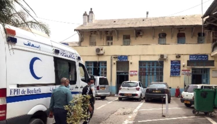 «أطباء مزيفون» يعالجون مرضاهم بالحشرات في الجزائر