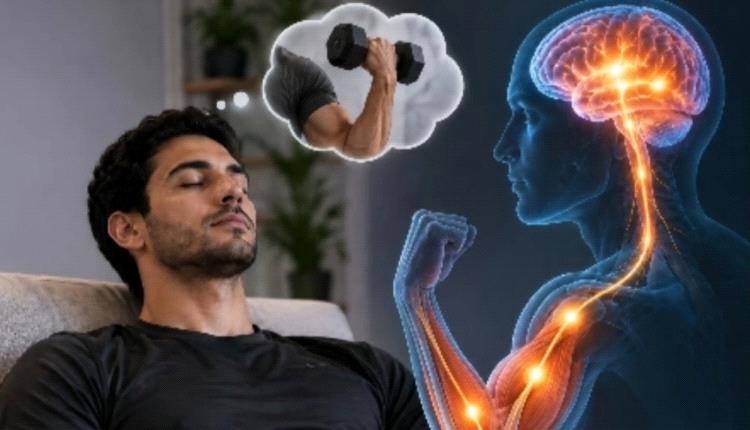 دراسة علمية تكشف: تخيُّل التمارين الرياضية ينشّط الدماغ حتى دون حركة