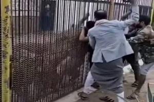 أسد مرعب يلتهم يد طفل داخل حديقة في صنعاء