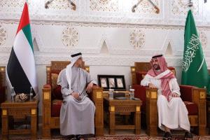 وزير الدفاع السعودي يلتقي في الرياض نائب رئيس الإمارات