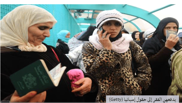 مغربيات إلى حقول الفراولة في إسبانيا: استغلال وسخرة؟