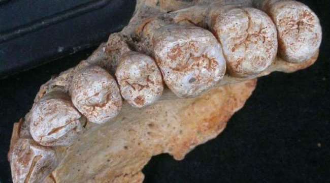 اكتشاف أقدم أثر لـ "الإنسان العاقل" خارج إفريقيا