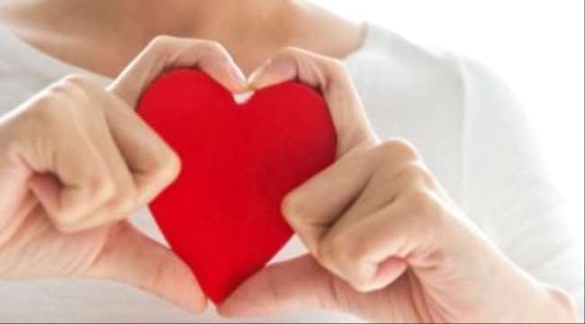 اعرف جسمك.. القلب.. هكذا تدور حياتك داخل 4 غرف بحجم قبضة اليد
