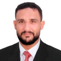 محمد حسين الدباء